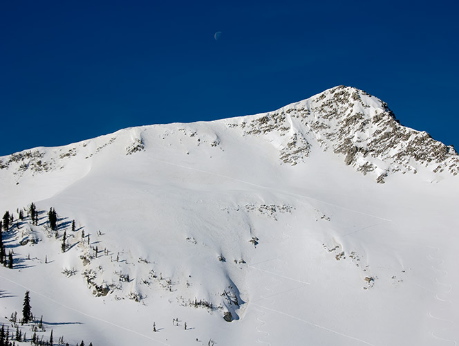 moon over red pine